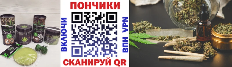 Купить где  Завитинск  Cannafood конопля 
