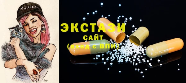хмурый Ельня