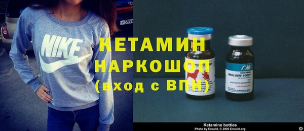 хмурый Ельня