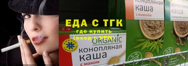 хмурый Ельня