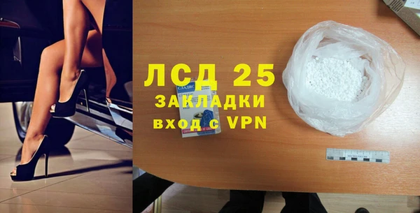 хмурый Ельня