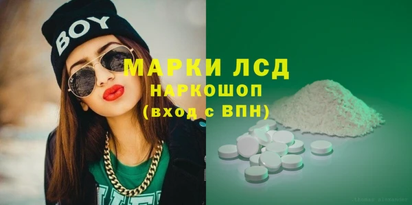 хмурый Ельня