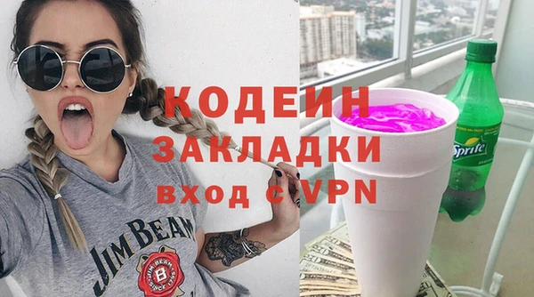 хмурый Ельня