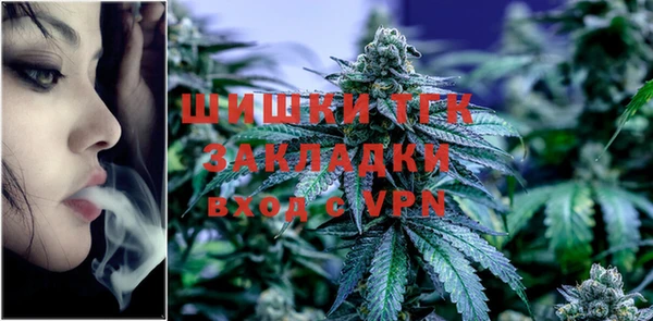 хмурый Ельня