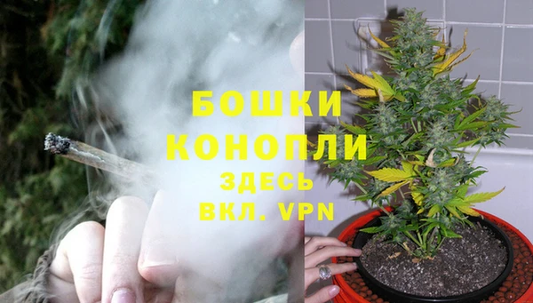 индика Кукмор