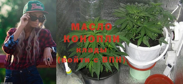 хмурый Ельня