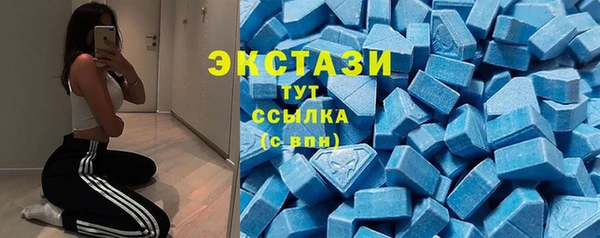 хмурый Ельня