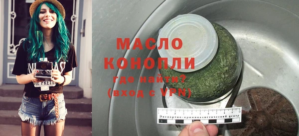 хмурый Ельня